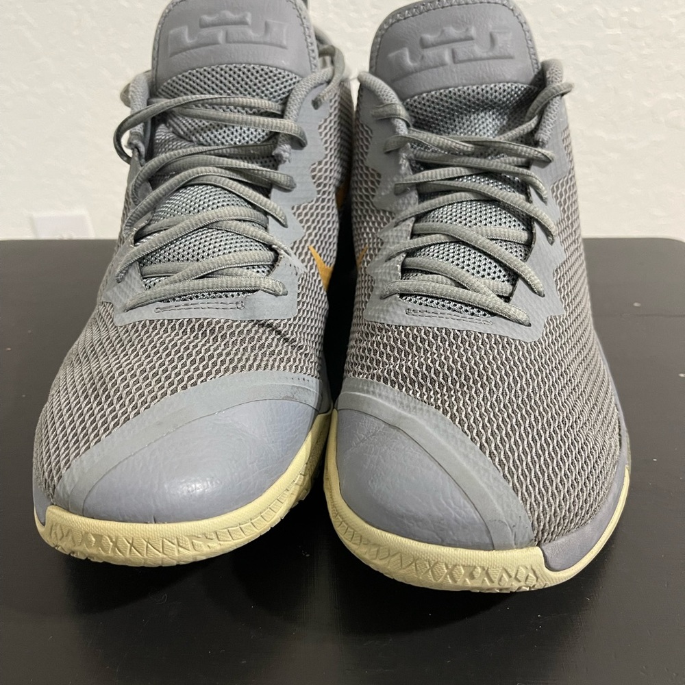 Lebron James Sneaker size 14